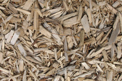 biomass boilers Binsoe